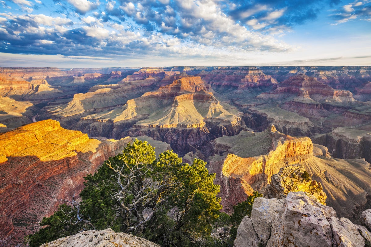 View of Grand Canyon with morning light
