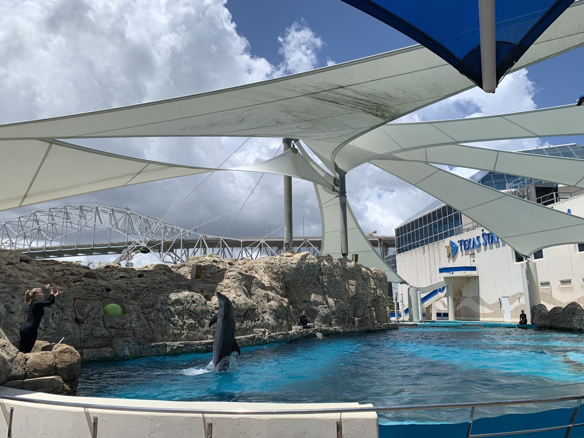 The dolphin presentation at Texas State Aquarium near DoubleTree by Hilton Corpus Christi Beachfront 