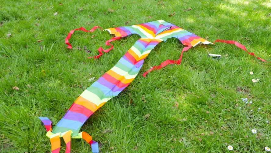 The 10 Best Beach Kites [2023]