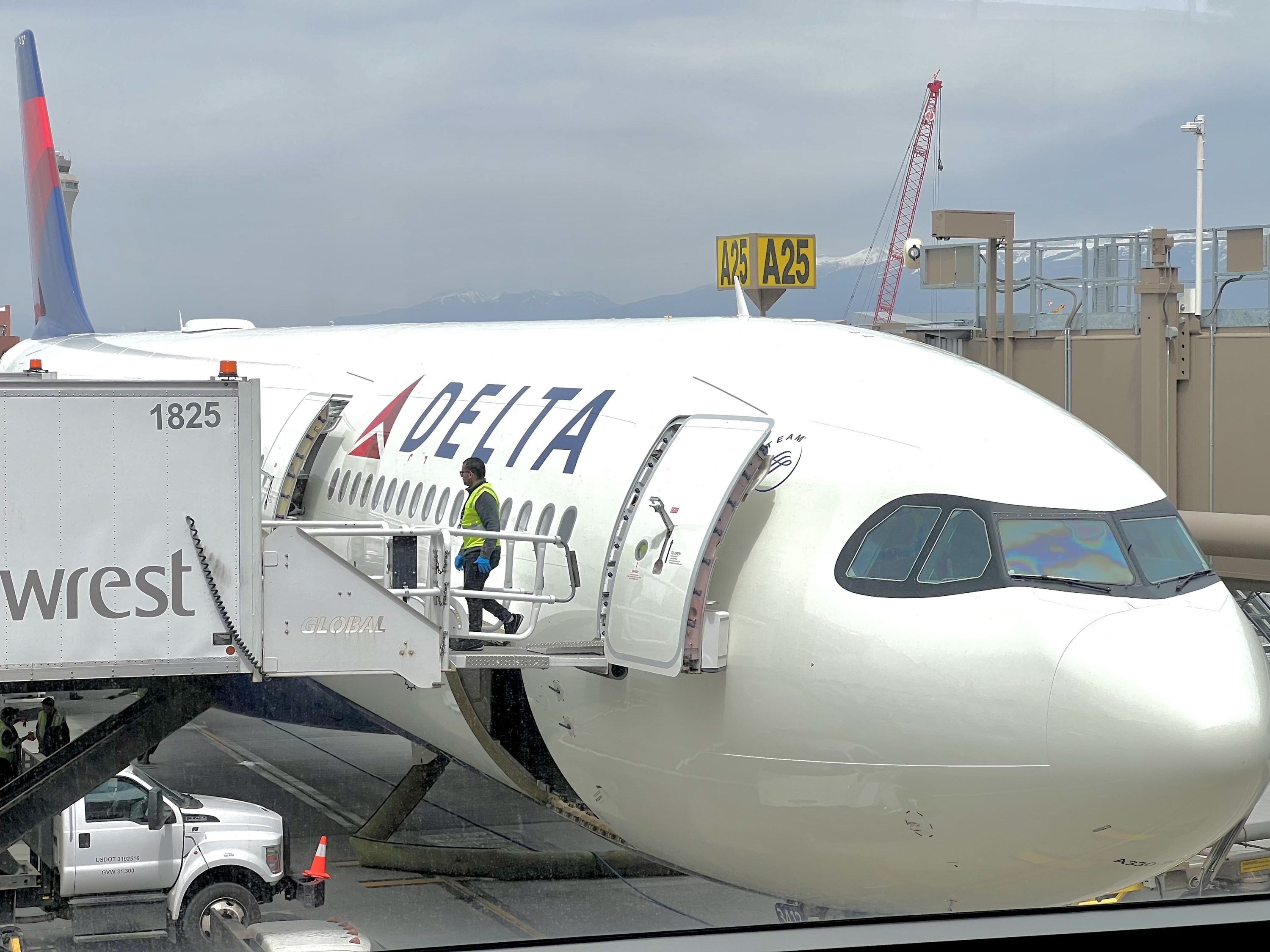 Delta Air Lines Airbus A339neo