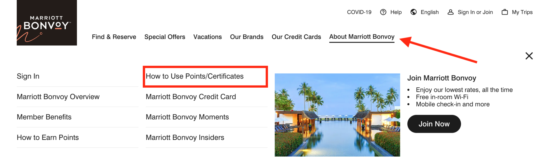 How To Make the Most of Your Points With Marriott Cruises [2022]