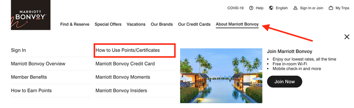 How to find Marriott cruises