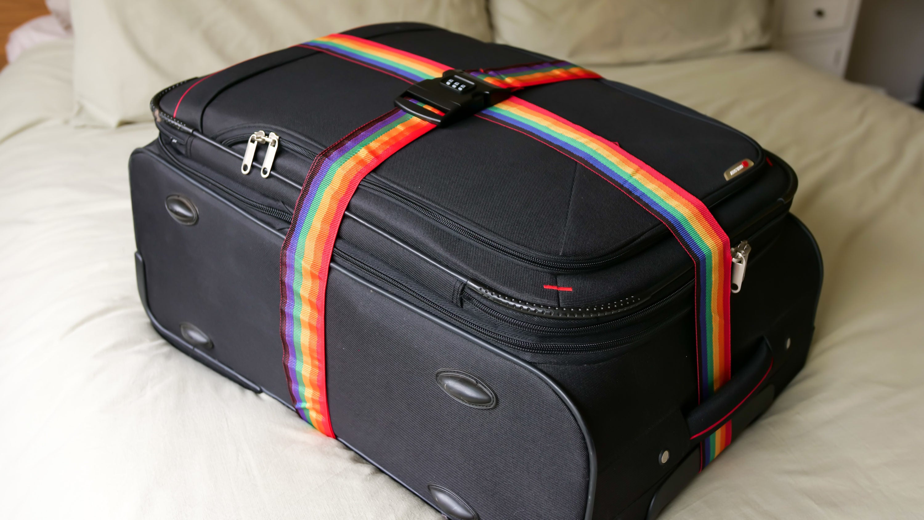 Luggage straps poundland hot sale