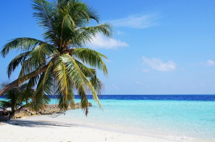 The Best Time To Visit The Maldives [By Seasons and Interests]