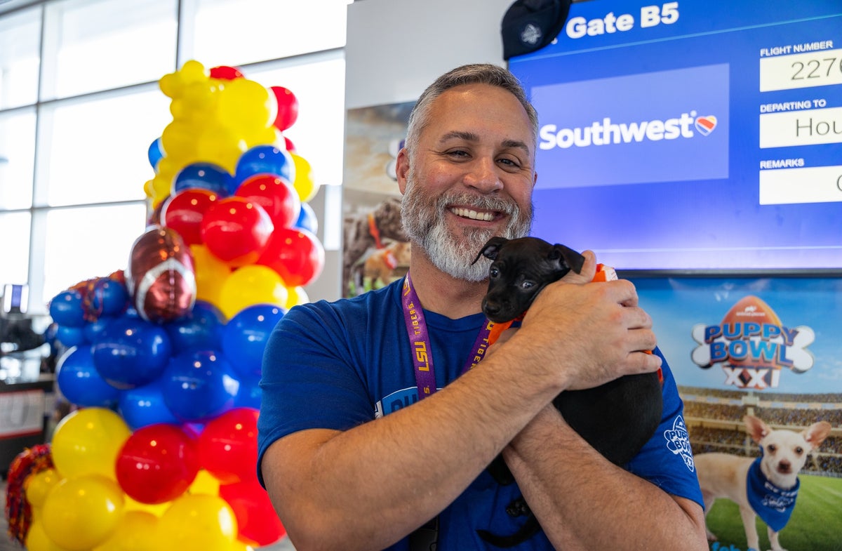 Southwest Airlines Pet Policy for Cats and Dogs [2025]