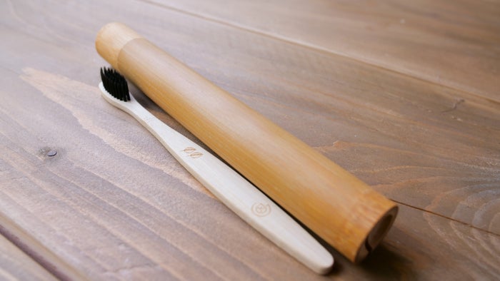 Travel toothbrush design