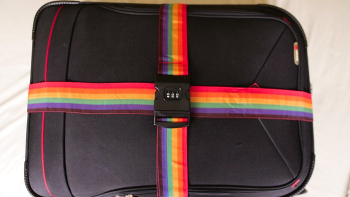 Type of luggage strap