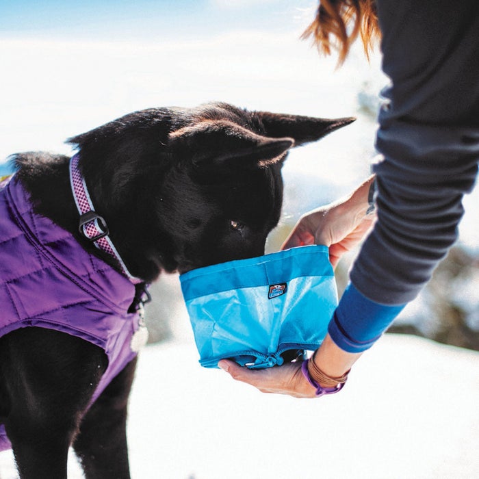 The 7 Best Hiking Dog Bowls [2024]