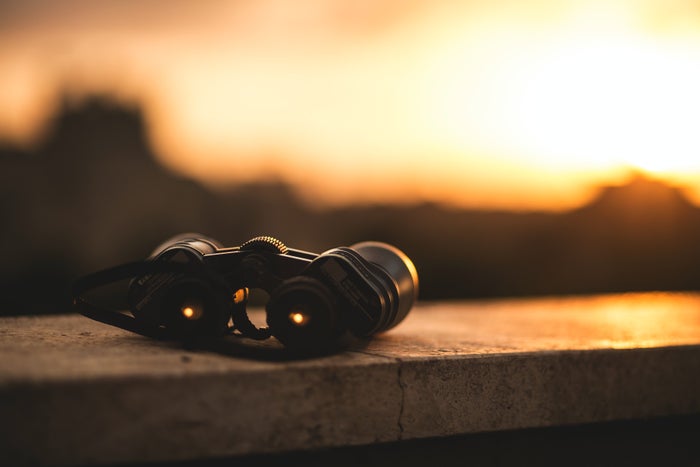 The 10 Best Travel Binoculars [2024]