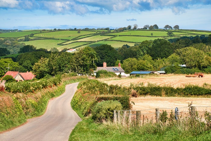 The 11 Best Boutique Hotels in Devon, England [2025]