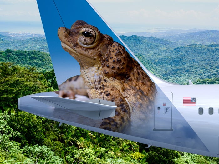 [Expired] Frontier Airlines Flash Deal: 100% Off Base Fare Is Back! [Ends Sept. 26]