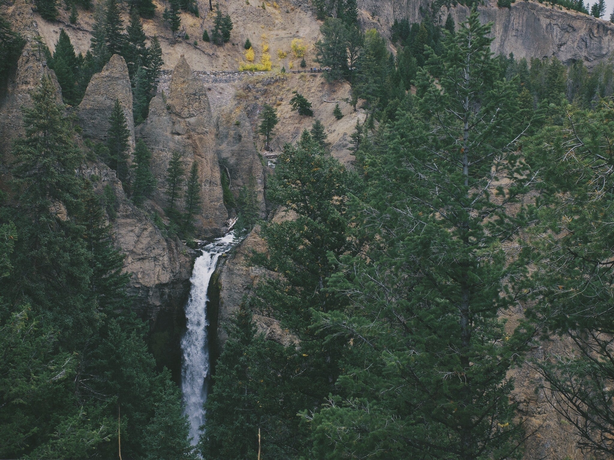 The Ultimate Travel Guide To Yellowstone National Park 2022   Tower Fall Yellowstone 