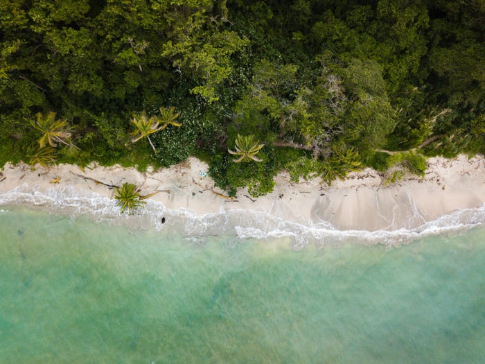 The 14 Best Beaches in Costa Rica in 2025 [Caribbean & Pacific Coasts]