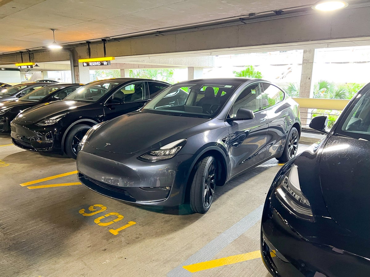 Hertz Tesla Model Y lineup