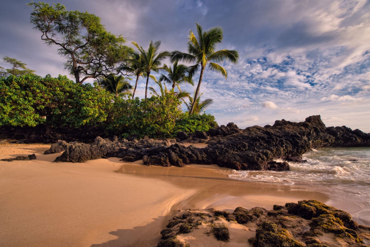 The 15 Best Beaches in Maui, Hawaii [2023]