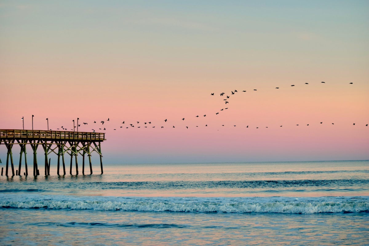 The 16 Best Beaches in North Carolina in 2023 [Detailed Guide]