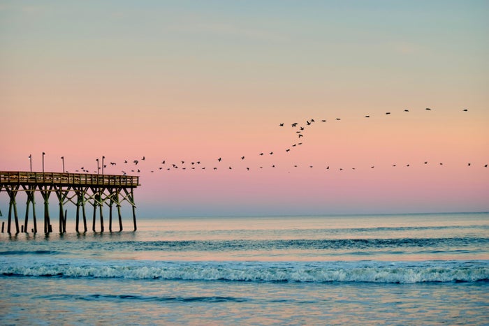 The 16 Best Beaches in North Carolina in 2025 [Detailed Guide]