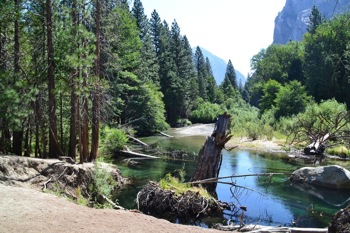 The Ultimate Guide to Sequoia and Kings Canyon National Parks — Best Things To Do, See & Enjoy!