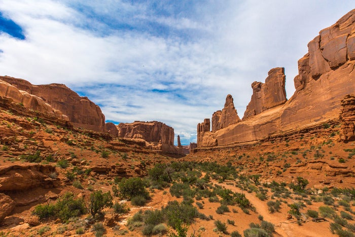 Virtual Tours of the 63 Iconic U.S. National Parks [2026]