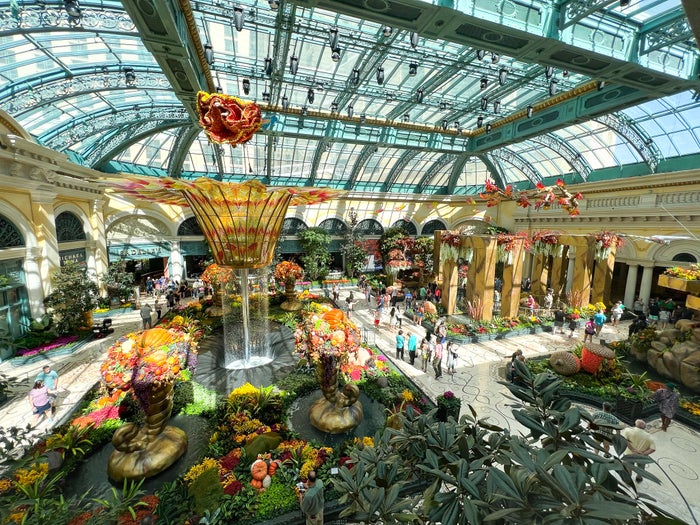 Bellagio Las Vegas Conservatory and Bontanical garden from above at spa Bellagio Las Vegas Conservatory and Bontanical garden from above at spa
