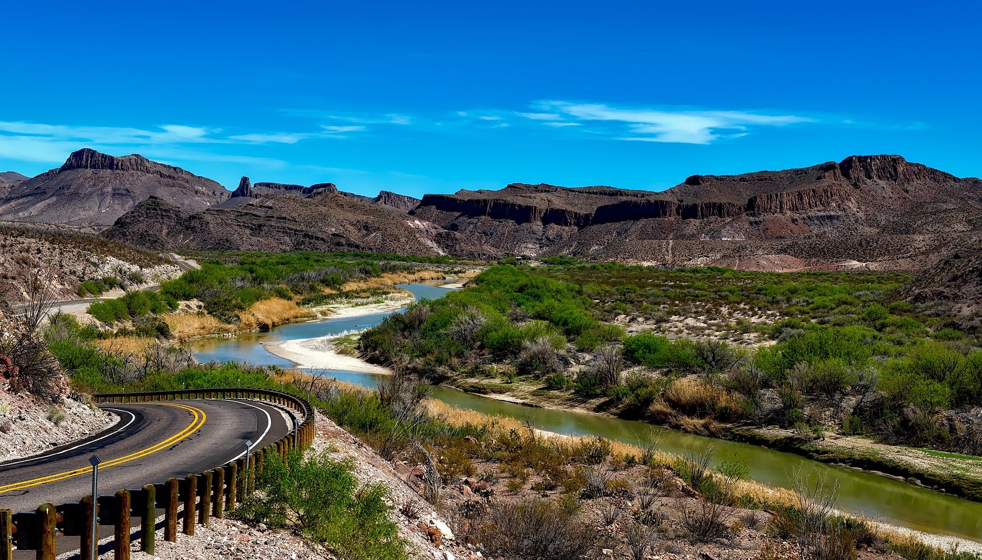 are dogs allowed in big bend national park texas