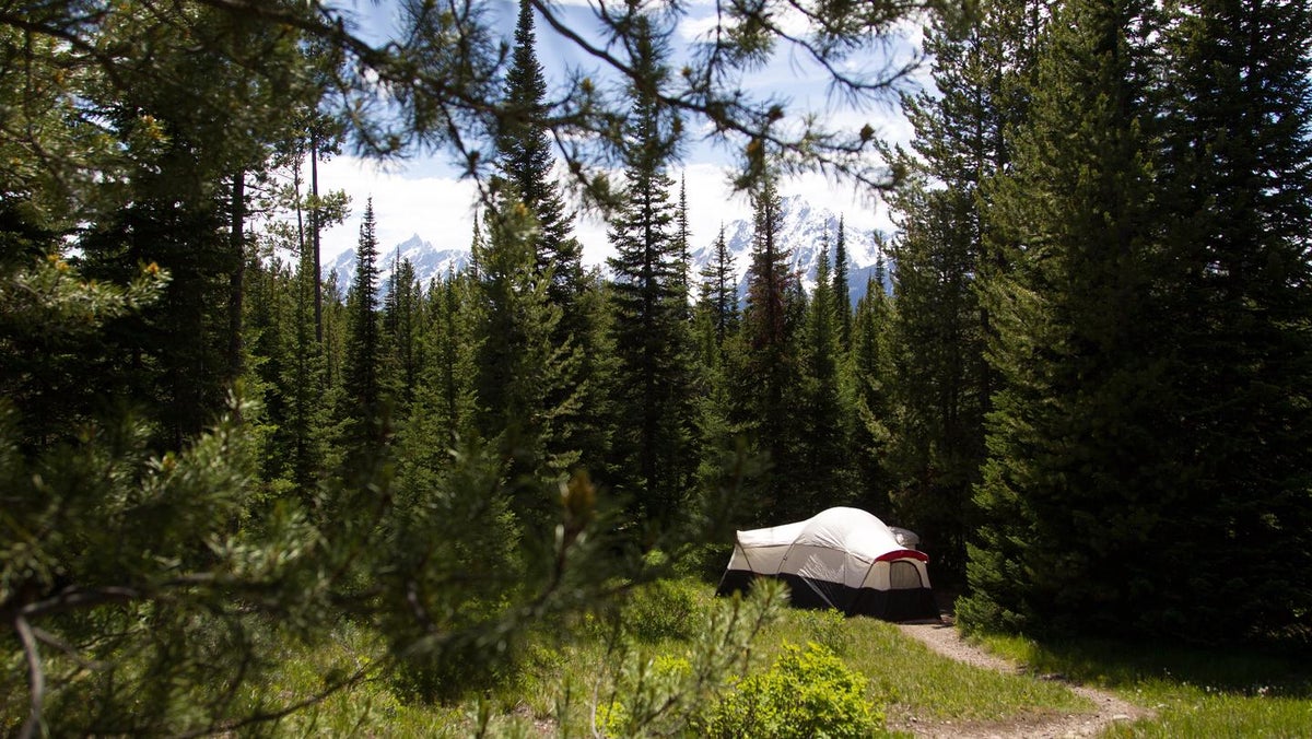 Colter Bay Campground