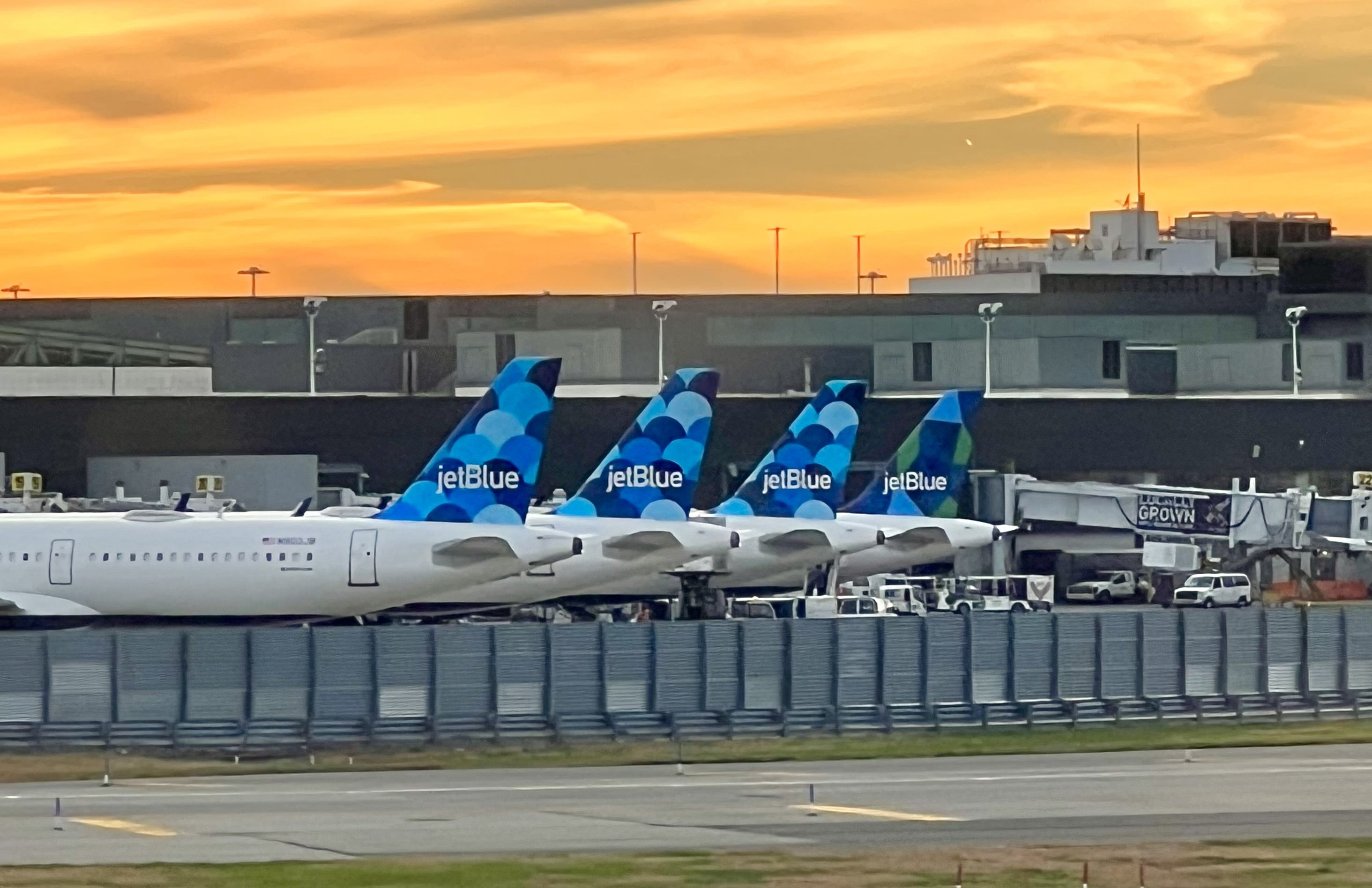 JetBlue tail fins at JFK