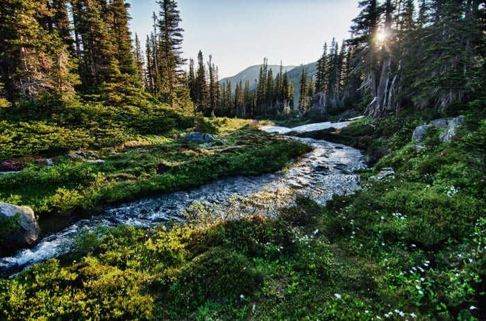 The Ultimate Guide to Olympic National Park — Best Things To Do, See & Enjoy!