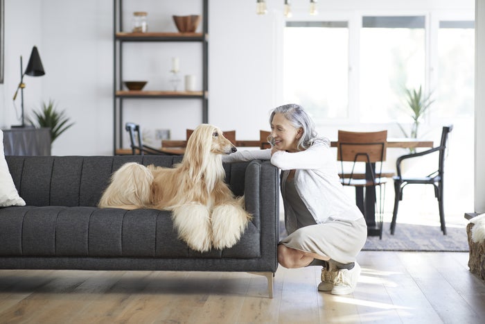 Homes & Villas by Marriott Teams Up With Petco To Offer New Program for Traveling Pets
