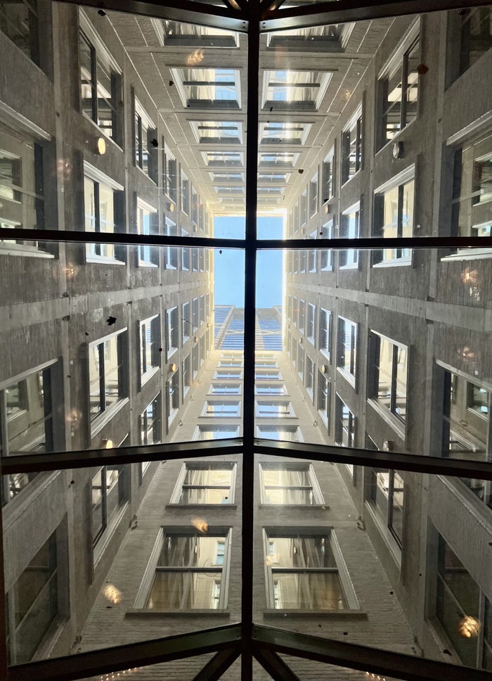 The Beekman atrium