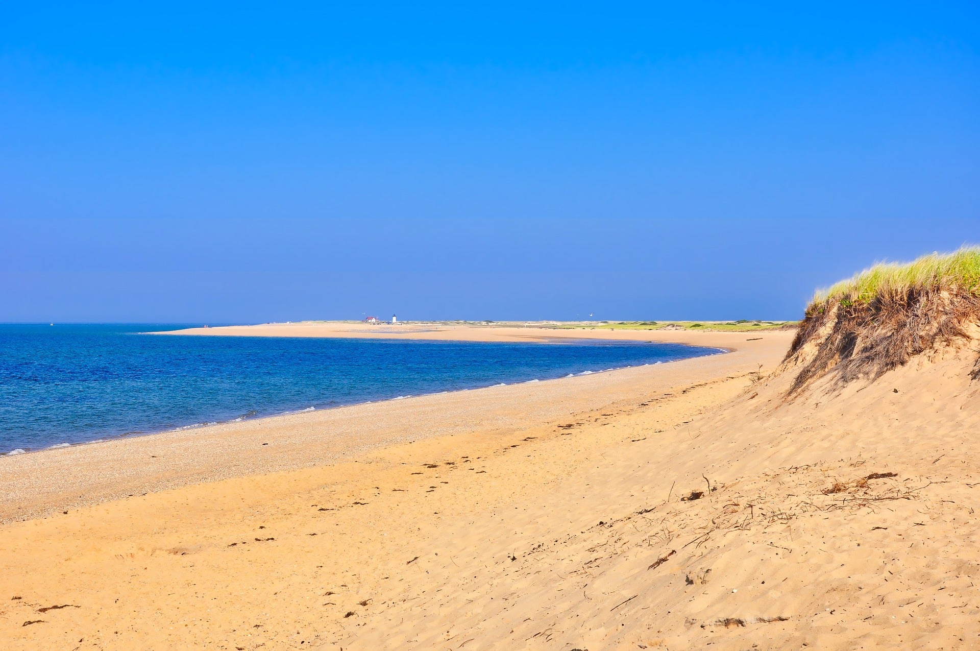 16 Best Beaches In Massachusetts In 2024 Cape Cod Nantucket 16 Best Beaches In Massachusetts In 2024 Cape Cod Nantucket