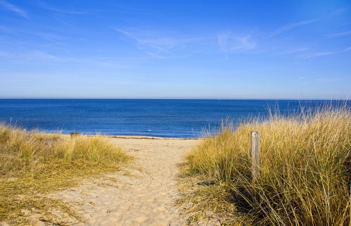 The 15 Best Beaches in Virginia [2023]