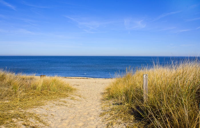 The 15 Best Beaches in Virginia [2025]