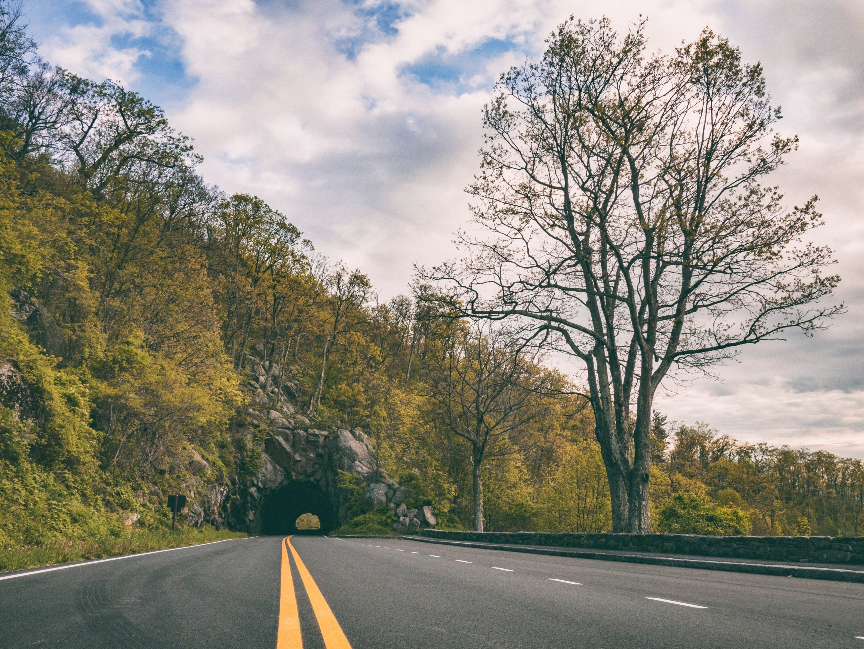 RAKUDA shina FARSHINA × OLD MOUNTAIN The Ultimate Guide to Shenandoah National Park [2024]