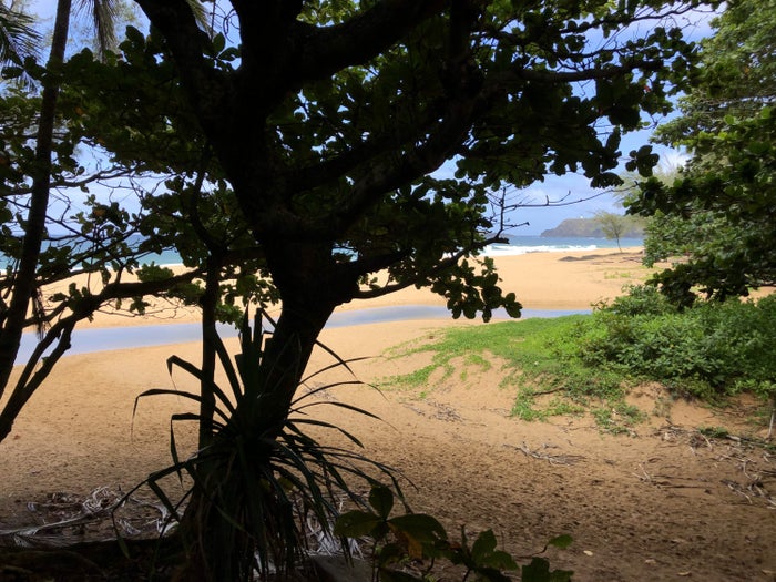 Kauapea Beach Trail