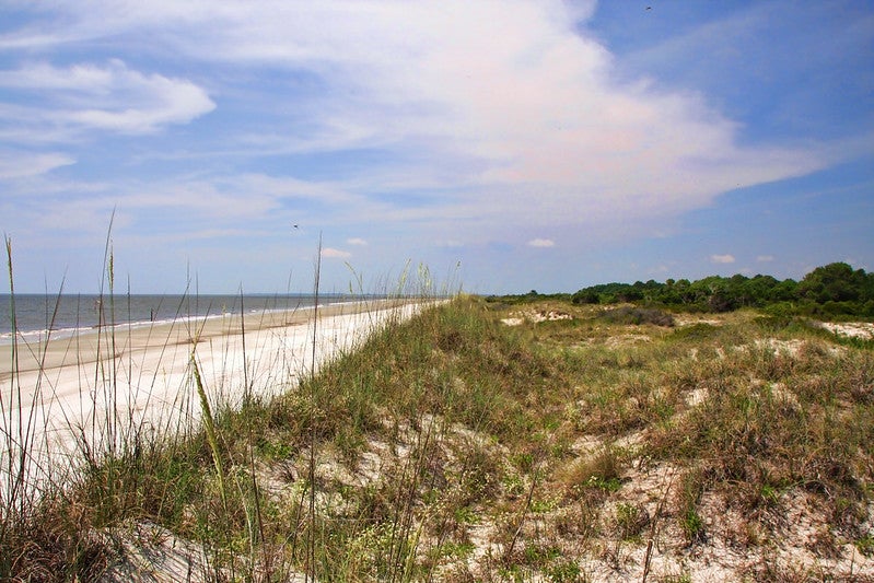 The 14 Best Lake & Coastal Beaches in [2023]