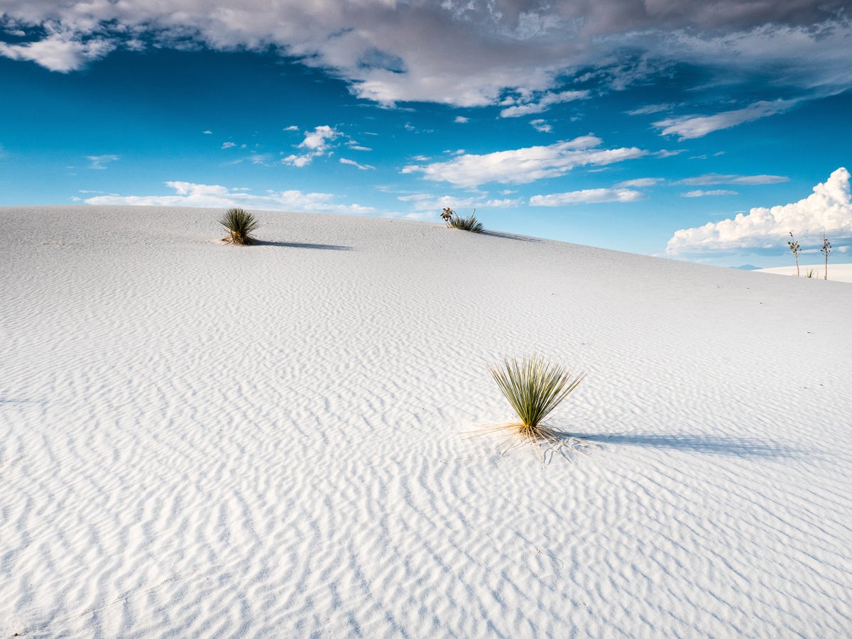 White Sands National Park Facts