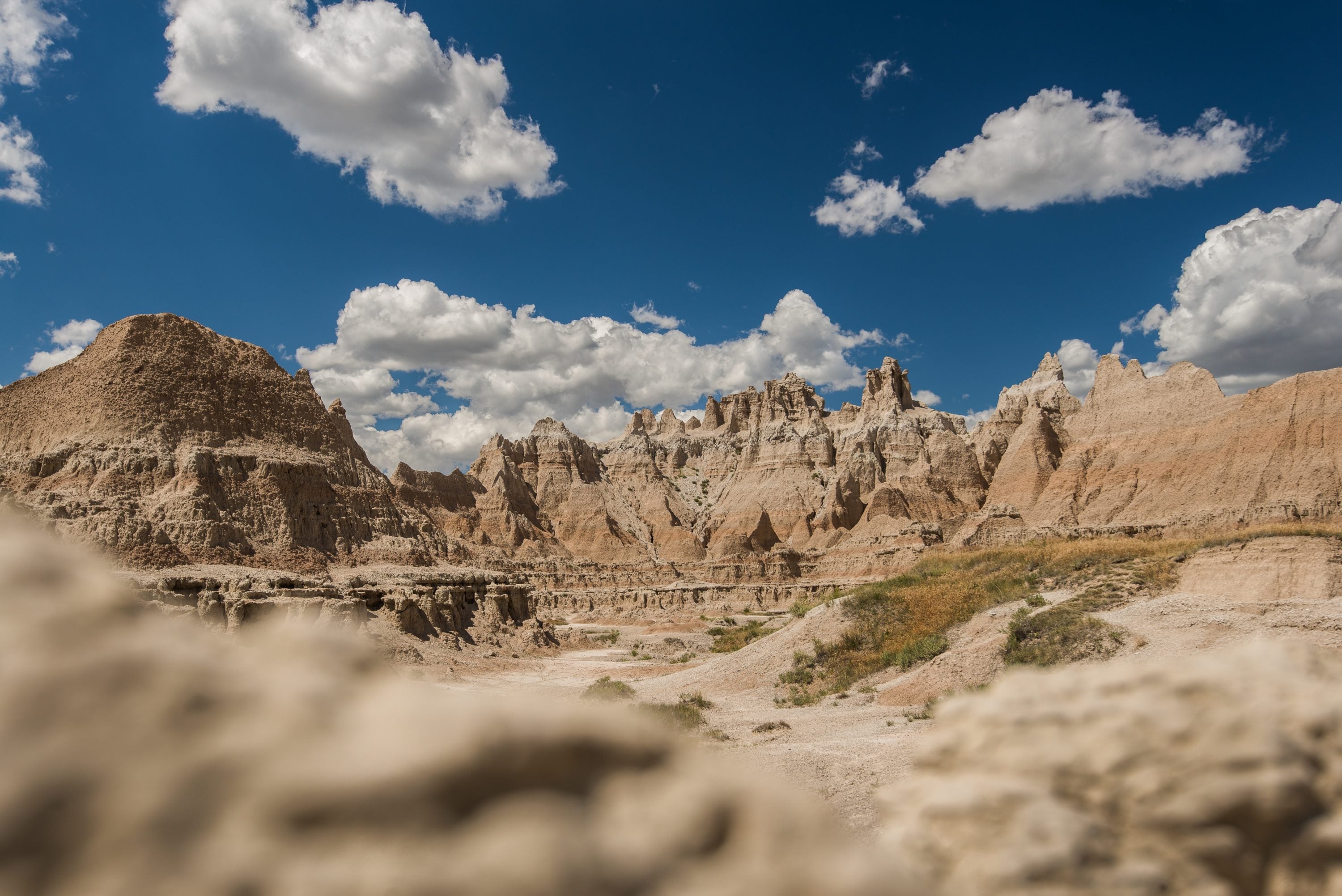 Badlands National Park Dinosaurs