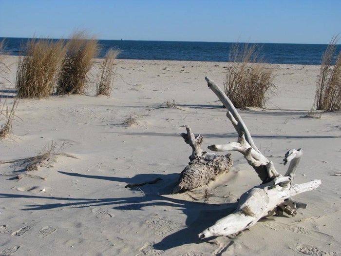Bethel Beach