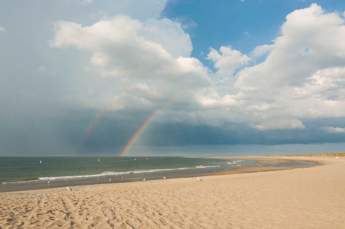 Crane Beach