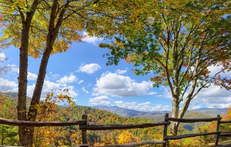 Fall Colors in Great Smoky Mountains National Park