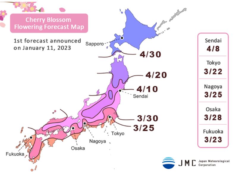 Japan's economy to bloom as <i>hanami</i> season kicks off - The Japan Times