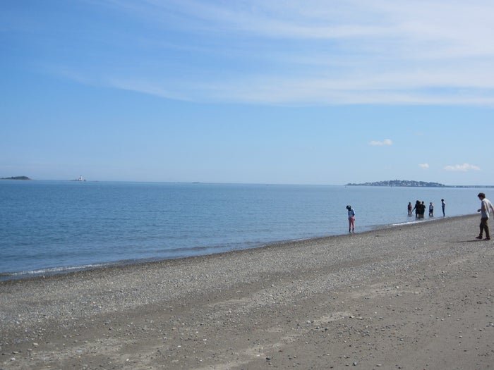 Lovells Island