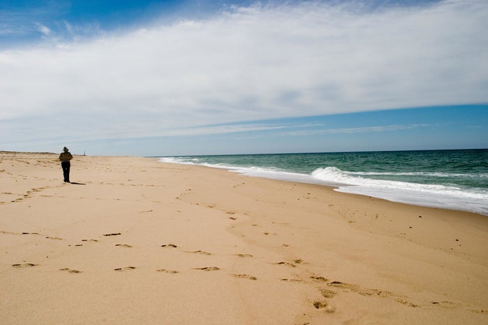 Race Point Beach
