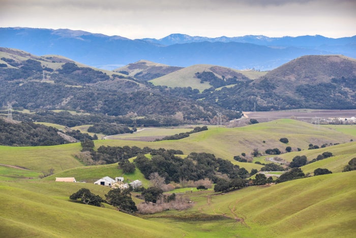 Salinas California