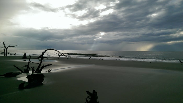 St. Catherines Island Stormy Boneyard