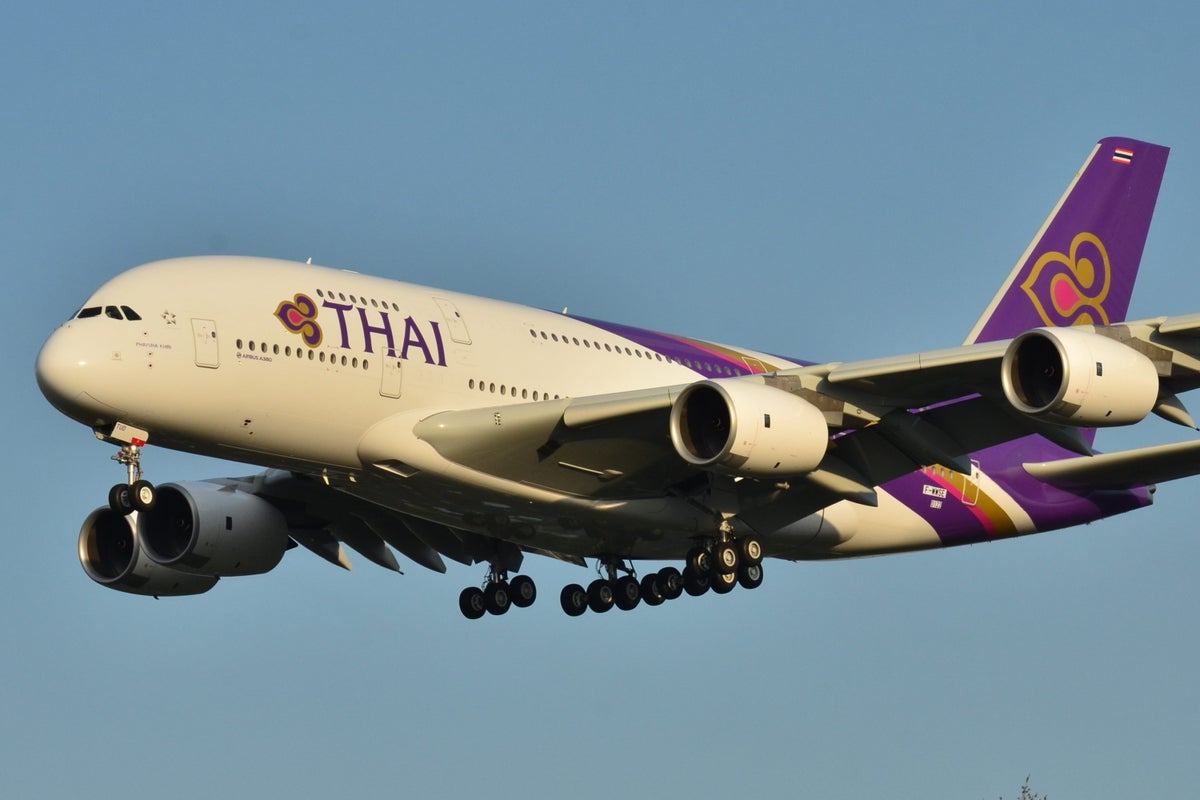 Thai Airways Baggage Fees & Tips To Cover the Expenses
