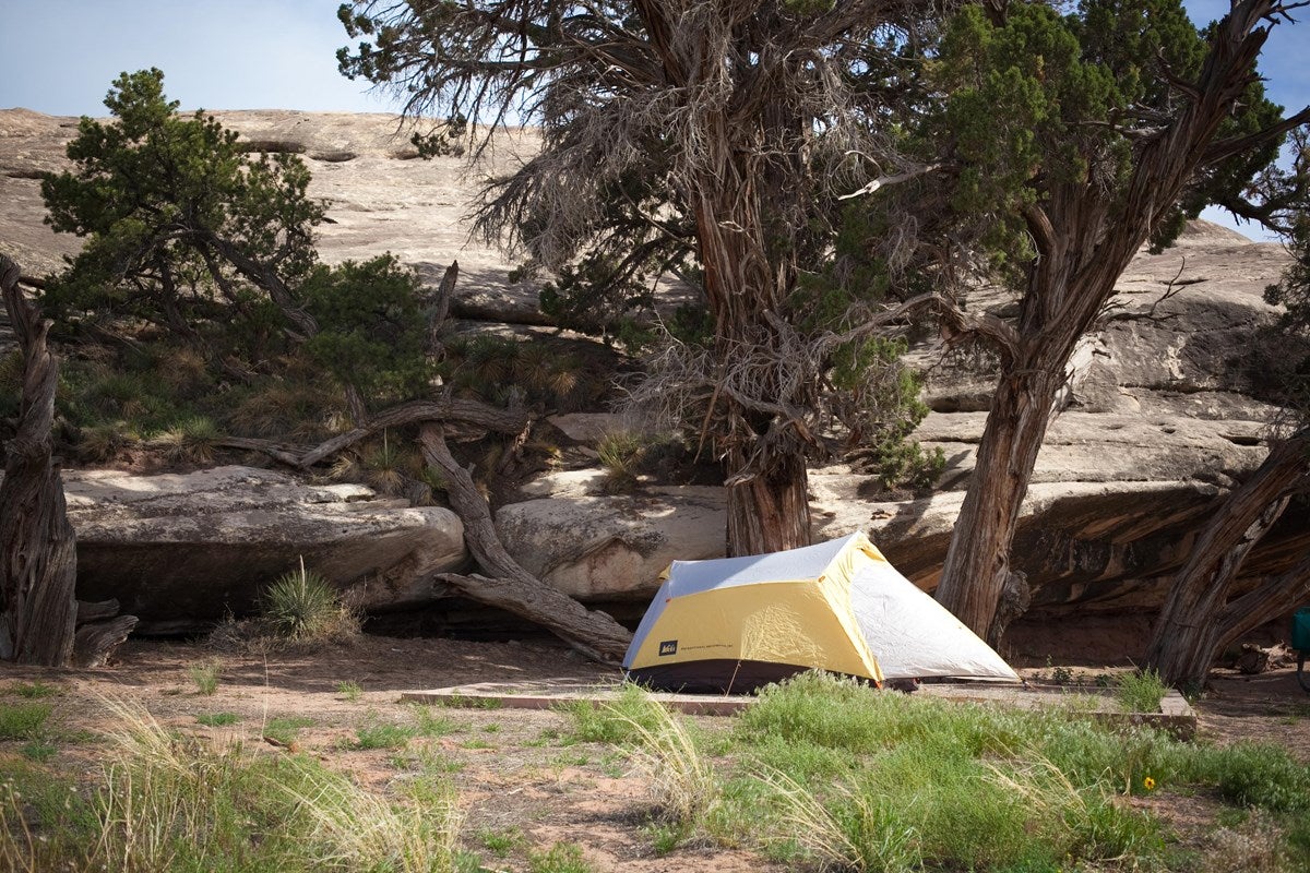 The Ultimate Guide To Canyonlands National Park 2023   The Needles Campground 