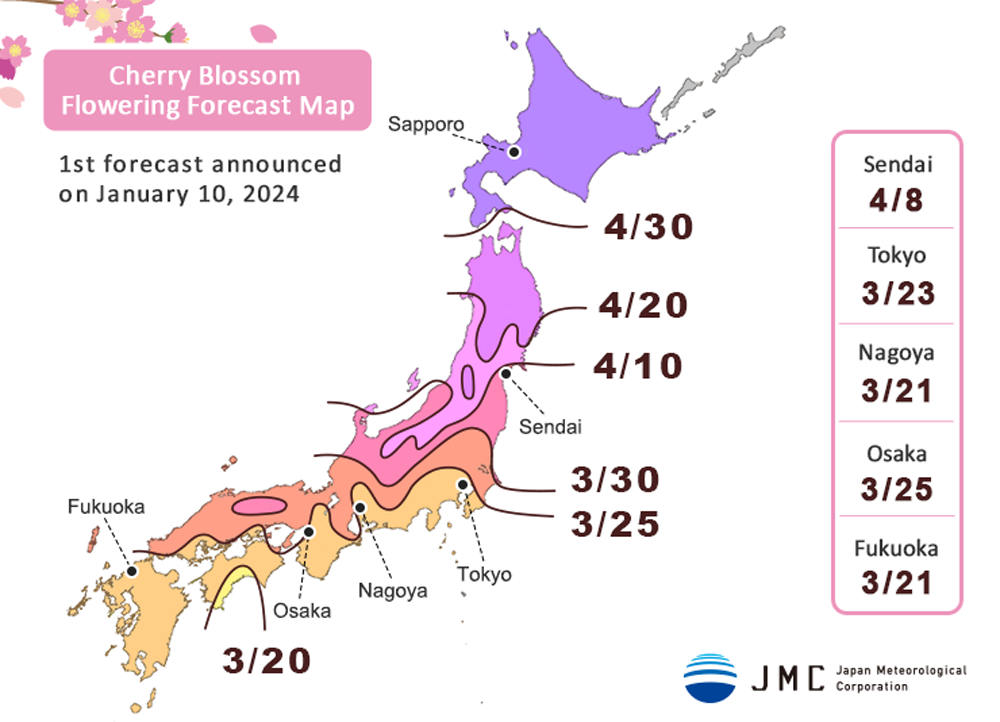 JMC Cherry Blossom Forecast map JMC Cherry Blossom Forecast map