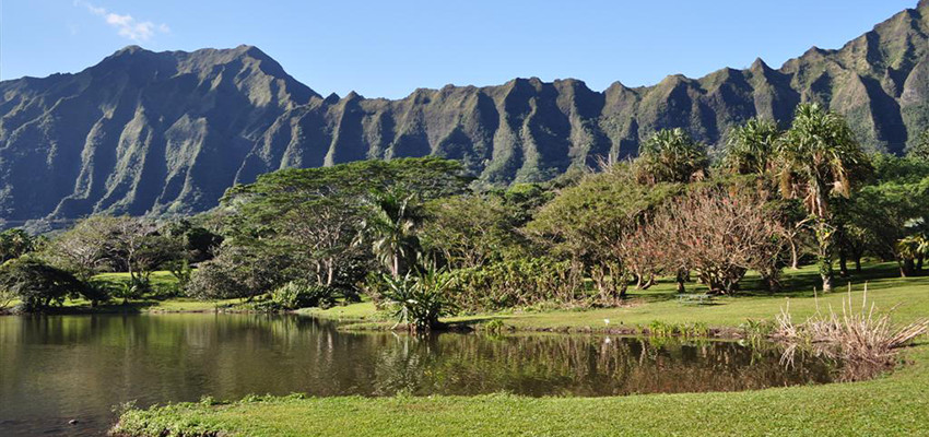 Hoomualuhia Botanical Garden Oahu Hawaii 
